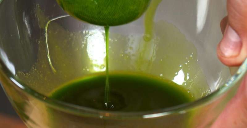 Белая рыба с фисташками и сливочным соусом с хреном