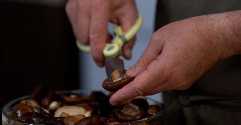 Паштет из грибов шиитаке