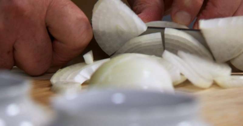 Паштет из грибов шиитаке