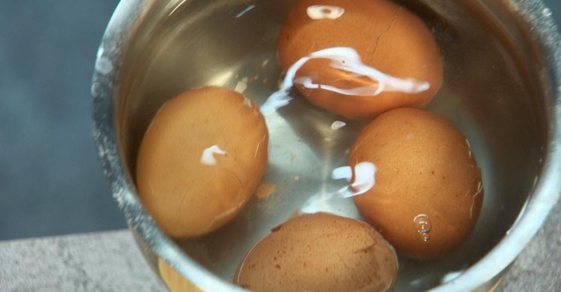 Нисуаз для Андрея Носкова