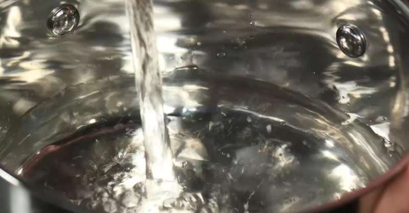 Филе лосося в апельсиновой глазури с гречневой лапшой