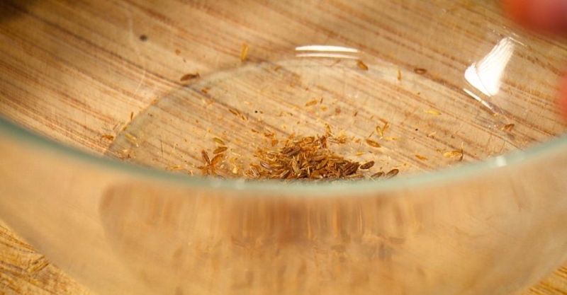 Энчиладас с курицей в соусе